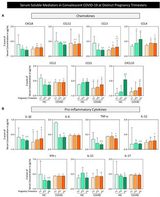 Panoramic snapshot of serum soluble mediator interplay in pregnant women with convalescent COVID-19: an exploratory study